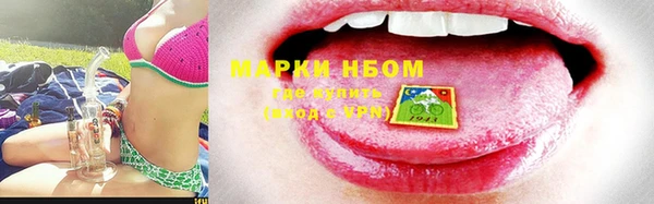 стаф Надым