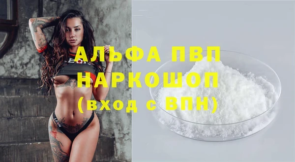 стаф Надым