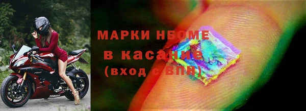 гашик Нефтекумск