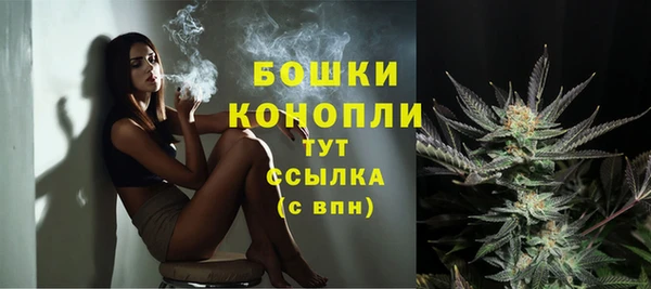 стаф Надым