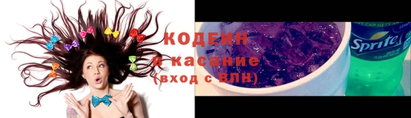 стаф Надым
