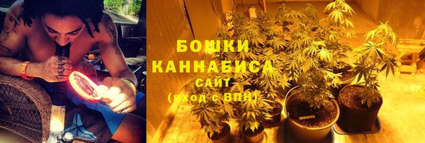 гашик Нефтекумск