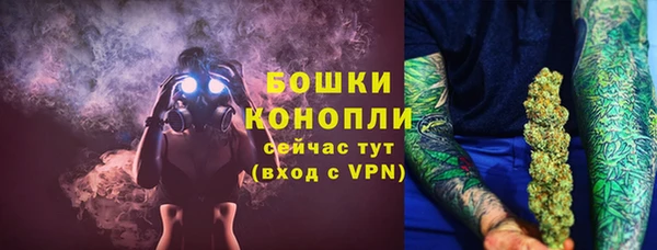 стаф Надым