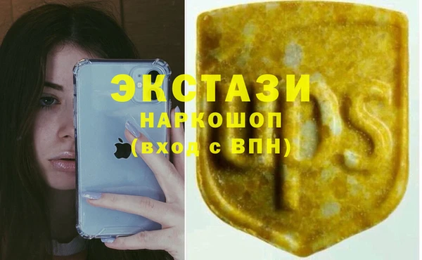 стаф Надым