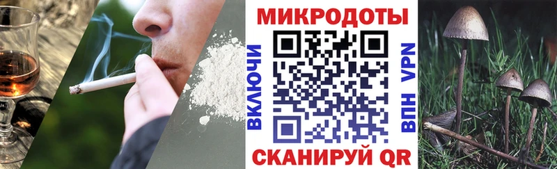 Псилоцибиновые грибы Psilocybine cubensis  Краснокаменск 